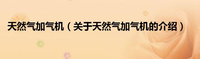 天然氣加氣機(jī)（關(guān)于天然氣加氣機(jī)的介紹）