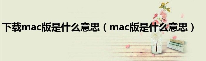 下載mac版是什么意思（mac版是什么意思）