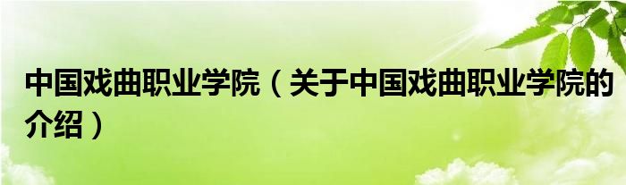 中國戲曲職業(yè)學院（關于中國戲曲職業(yè)學院的介紹）