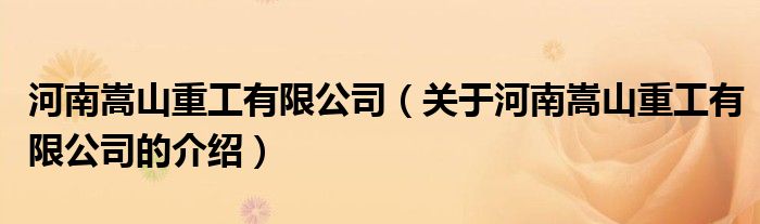 河南嵩山重工有限公司（關(guān)于河南嵩山重工有限公司的介紹）