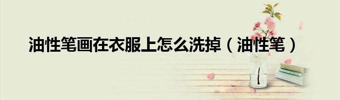 油性筆畫在衣服上怎么洗掉（油性筆）