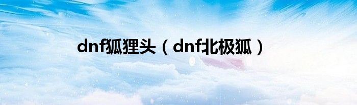 dnf狐貍頭（dnf北極狐）
