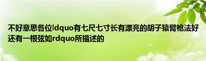 不好意思各位ldquo有七尺七寸長(zhǎng)有漂亮的胡子猿臂槍法好還有一根弦如rdquo所描述的