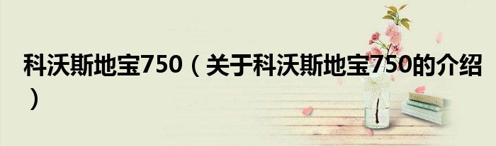 科沃斯地寶750（關(guān)于科沃斯地寶750的介紹）