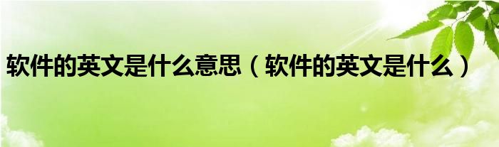 軟件的英文是什么意思（軟件的英文是什么）