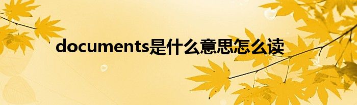 documents是什么意思怎么讀