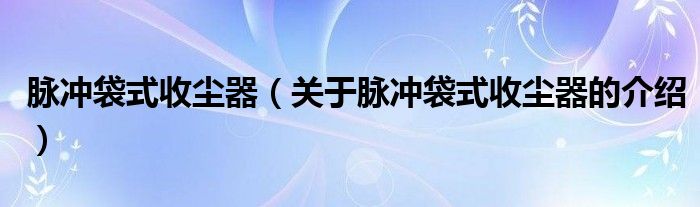 脈沖袋式收塵器（關(guān)于脈沖袋式收塵器的介紹）
