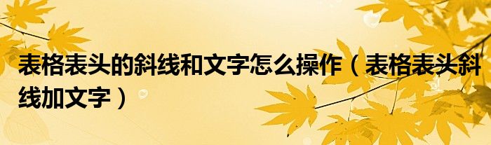 表格表頭的斜線和文字怎么操作（表格表頭斜線加文字）