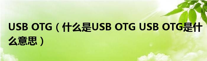 USB OTG（什么是USB OTG USB OTG是什么意思）