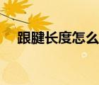 跟腱長度怎么量知乎（跟腱長度怎么量）