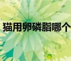 貓用卵磷脂哪個牌子好（卵磷脂哪個牌子好）