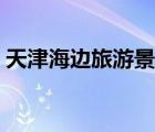 天津海邊旅游景點(diǎn)攻略（天津海邊旅游景點(diǎn)）
