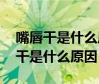 嘴唇干是什么原因,喝水無效怎么解決（嘴唇干是什么原因）