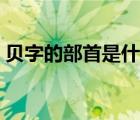 貝字的部首是什么結(jié)構(gòu)（貝字的部首是什么）