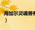 海加爾靈魂獸有幾個（海加爾山靈魂獸刷新點）