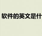 軟件的英文是什么單詞（軟件的英文是什么）