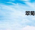 翠菊小說集(TXT不刪)