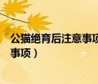 公貓絕育后注意事項(xiàng)手術(shù)后多久可以洗澡（公貓絕育后注意事項(xiàng)）