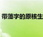 帶藻字的原核生物有哪些（原核生物有哪些）