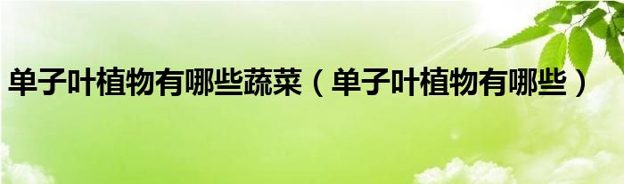 單子葉植物有哪些蔬菜（單子葉植物有哪些）