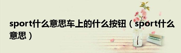 sport什么意思車上的什么按鈕（sport什么意思）