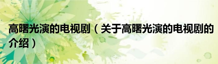 高曙光演的電視劇（關(guān)于高曙光演的電視劇的介紹）