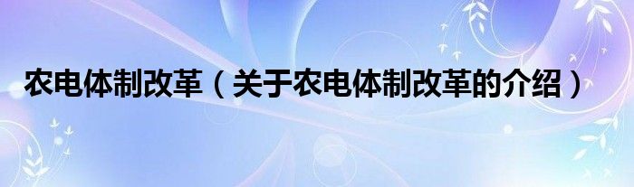 農(nóng)電體制改革（關(guān)于農(nóng)電體制改革的介紹）