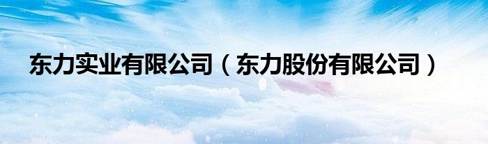 東力實(shí)業(yè)有限公司（東力股份有限公司）