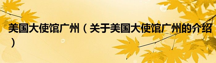 美國大使館廣州（關(guān)于美國大使館廣州的介紹）