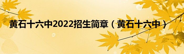 黃石十六中2022招生簡(jiǎn)章（黃石十六中）