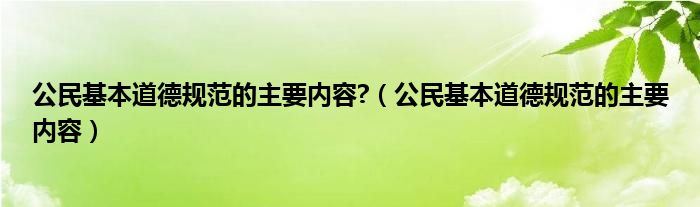 公民基本道德規(guī)范的主要內(nèi)容?（公民基本道德規(guī)范的主要內(nèi)容）