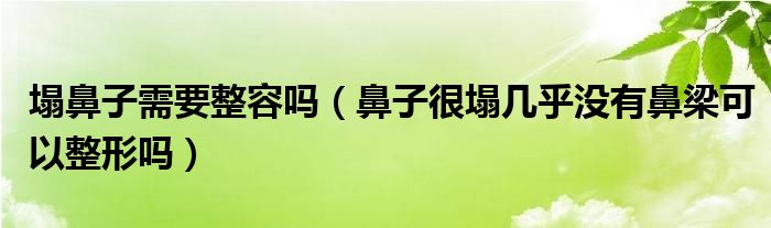 塌鼻子需要整容嗎（鼻子很塌幾乎沒有鼻梁可以整形嗎）