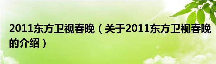 2011東方衛(wèi)視春晚（關于2011東方衛(wèi)視春晚的介紹）