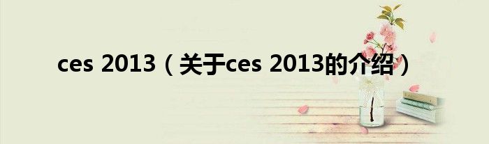 ces 2013（關(guān)于ces 2013的介紹）