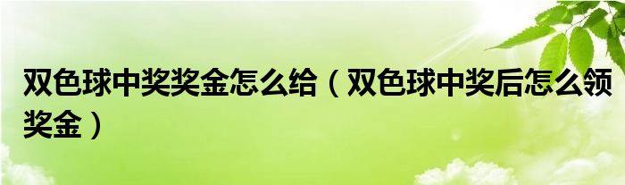 雙色球中獎(jiǎng)獎(jiǎng)金怎么給（雙色球中獎(jiǎng)后怎么領(lǐng)獎(jiǎng)金）