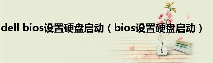 dell bios設(shè)置硬盤啟動(dòng)（bios設(shè)置硬盤啟動(dòng)）