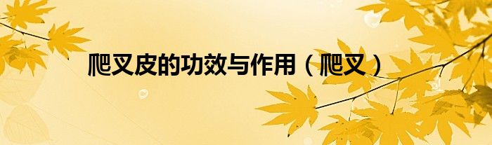 爬叉皮的功效與作用（爬叉）