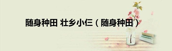 隨身種田 壯鄉(xiāng)小仨（隨身種田）