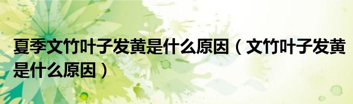 夏季文竹葉子發(fā)黃是什么原因（文竹葉子發(fā)黃是什么原因）