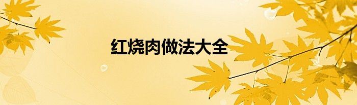 紅燒肉做法大全