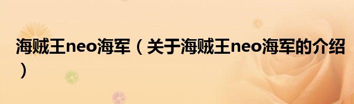 海賊王neo海軍（關于海賊王neo海軍的介紹）