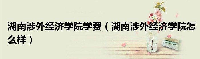 湖南涉外經(jīng)濟(jì)學(xué)院學(xué)費(fèi)（湖南涉外經(jīng)濟(jì)學(xué)院怎么樣）
