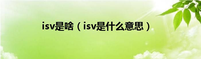 isv是啥（isv是什么意思）