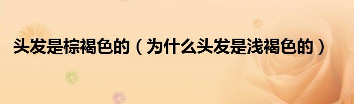 頭發(fā)是棕褐色的（為什么頭發(fā)是淺褐色的）
