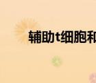 輔助t細(xì)胞和t細(xì)胞區(qū)別（輔助t細(xì)胞）