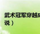 武術(shù)冠軍穿越成王妃的小說（穿越成王妃的小說）