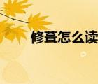 修葺怎么讀音是什么（修葺的讀音）