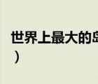 世界上最大的島嶼在哪里（世界上最大的島嶼）