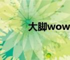 大腳wow魔獸盒子（大腳wow）