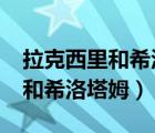 拉克西里和希洛塔姆外形一樣嗎?（拉克西里和希洛塔姆）